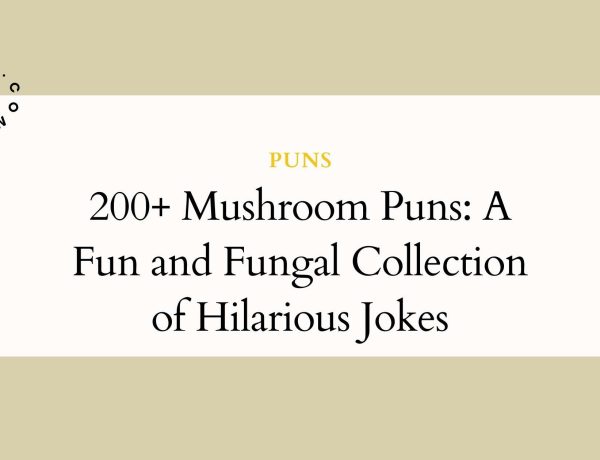 200+ Mushroom Puns