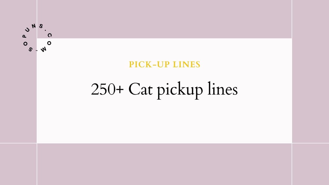 250+ Cat pickup lines