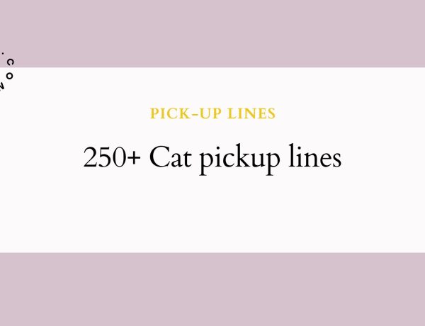 250+ Cat pickup lines