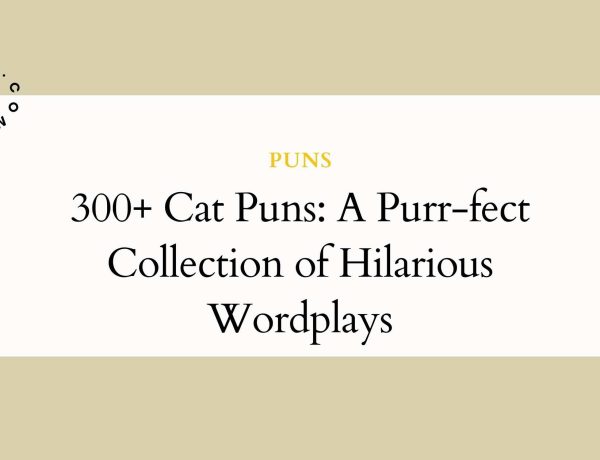300+ Cat Puns